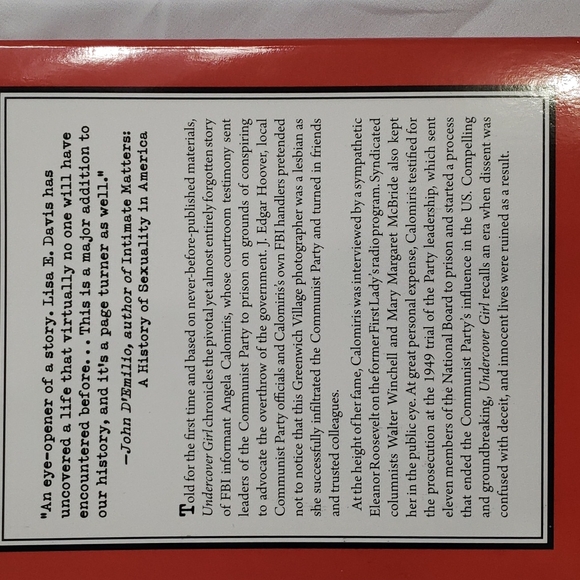 Undercover Girl book - Picture 2 of 3